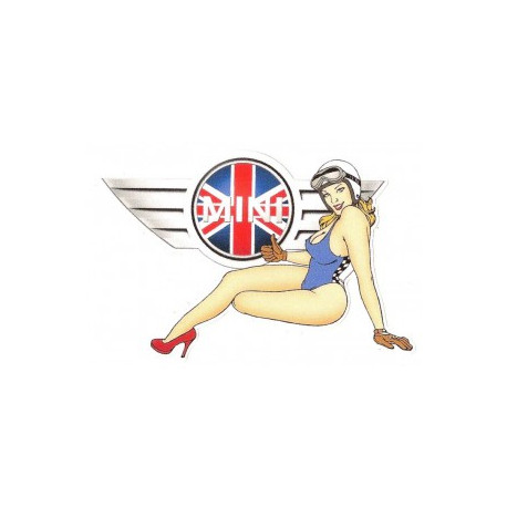 MINI  left Pin Up laminated decal