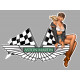 ASTON MARTIN Vintage right Pin Up laminated decal