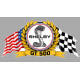 SHELBY COBRA GT500  Sticker