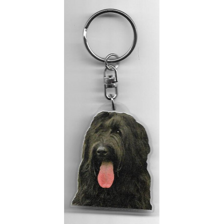 BRIARD CHIEN porte clés