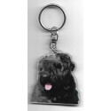 FLABDRES MOUNTAIN  DOG / Key Fobs