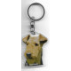 AIREDALE DOG / Key Fobs