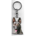 DUTCH SHEPHERD DOG / Key Fobs