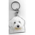 Coton de Tuléar CHIEN porte clés