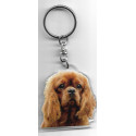 CAVALIER KING CHARLES DOG porte clés