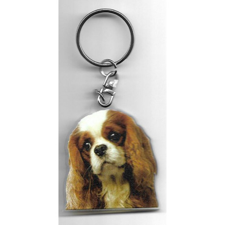 CAVALIER KING CHARLES DOG / Key Fobs