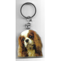 CAVALIER KING CHARLES DOG / Key Fobs