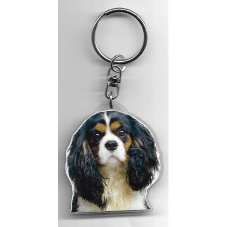 CAVALIER KING CHARLES DOG porte clés