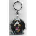 BRITANNY SPANIEL  Dog / Key Fobs