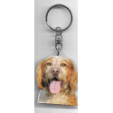 BRITTANY SPANIEL  Dog / Key Fobs