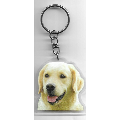 GOLDEN RETRIEVER DOG / Key Fobs