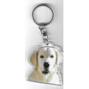 GOLDEN RETRIEVER DOG / Key Fobs