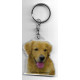 GOLDEN RETRIEVER DOG / Key Fobs