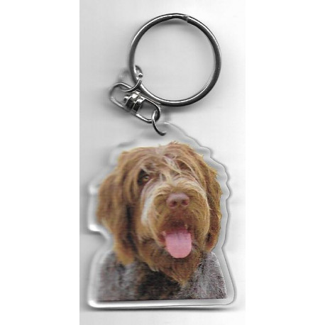 WIREHAID POINTING  GRIFFON KORTHAL DOG / Key Fobs