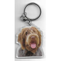 WIREHAID POINTING  GRIFFON KORTHAL DOG / Key Fobs