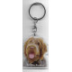 WIREHAID POINTING  GRIFFON KORTHAL DOG / Key Fobs