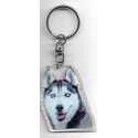 HUSKY porte clés Chien