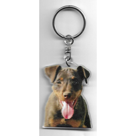 JAGD TERRIER  DOG / Key Fobs