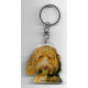 LABRODOODLE porte clés Chien