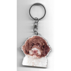 LAGOTTO ROMAGNOLO porte clés Chien