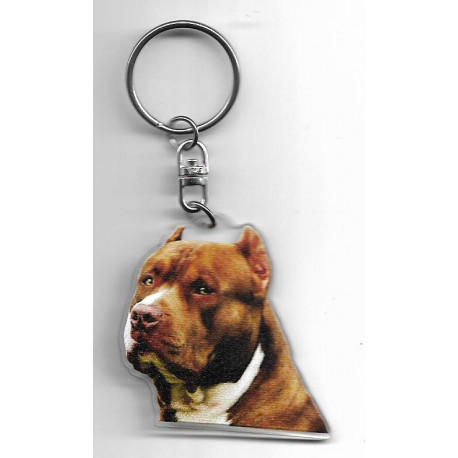 PITBULL porte clés Chien