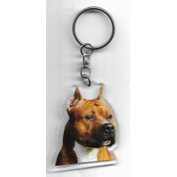 PITBULL DOG / Key Fobs