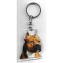 PITBULL DOG / Key Fobs