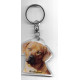 RODHESIAN DOG / Key Fobs