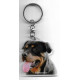 ROTTWEILLER DOG / Key Fobs