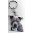 STAFF DOG / Key Fobs