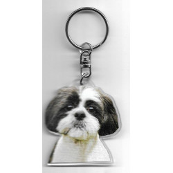 SHIH TZU  porte clés Chien