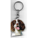 ENGLISH SPRINGER DOG / Key Fobs