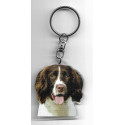 ENGLISH SPRINGER DOG / Key Fobs