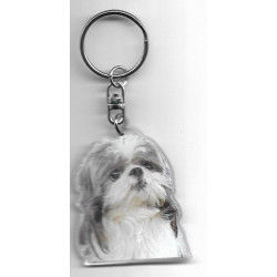 SHIH TZU  porte clés Chien