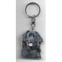 NEWFOUNLAND RESCUE DOG / Key Fobs