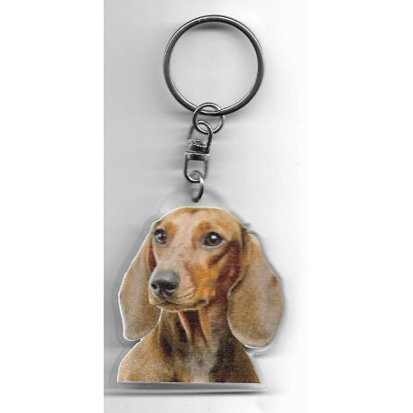 TECKEL  DOG / Key Fobs